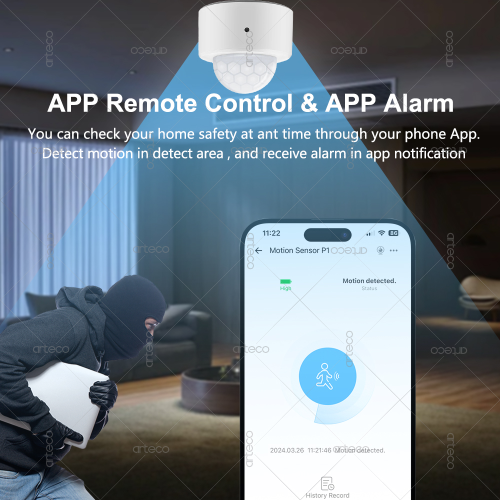 Ewelink Zigbee PIR Motion Sens - Home Security Wireless review and price