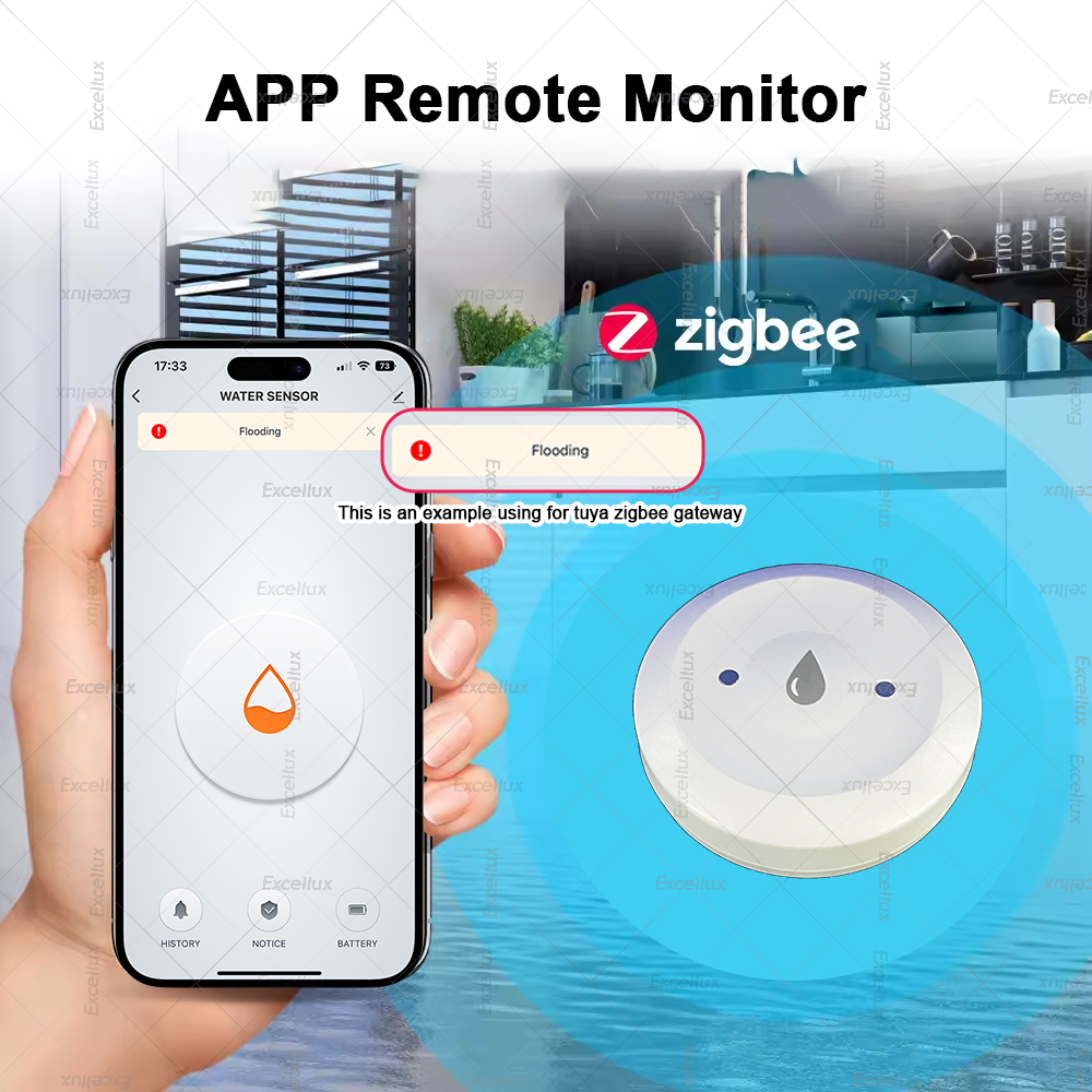 Zigbee Water Detector Leakage  - Home Security Alexa review and price