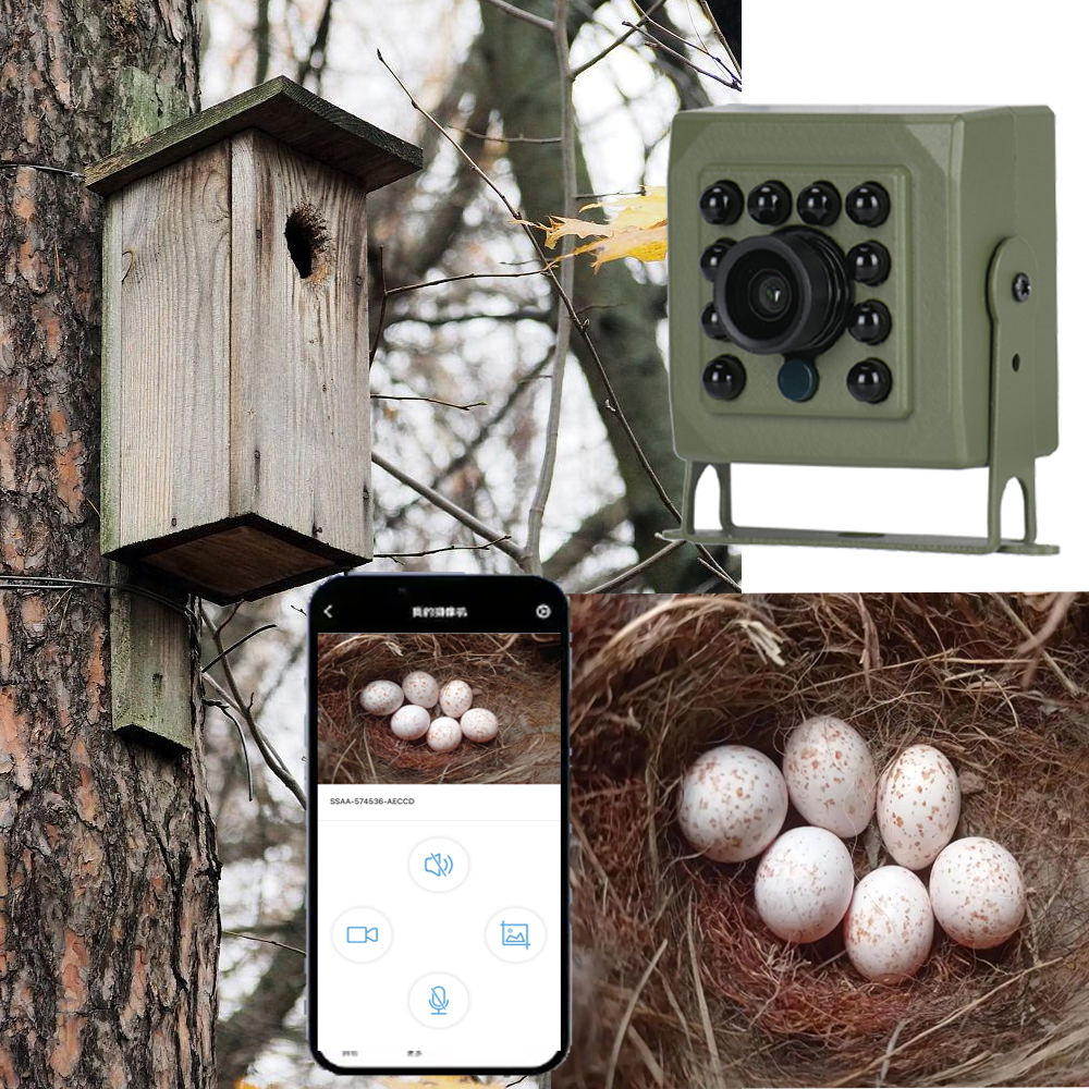 6MP 4MP POE 2K Tuya Mini Wirel - Home Security And Camera Systems review and price