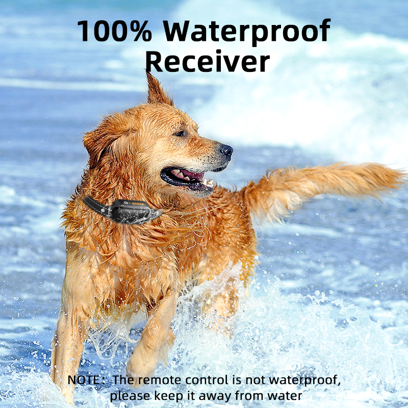 ROJECO Electric Dog Training C - Barking Dog Alarm review and price