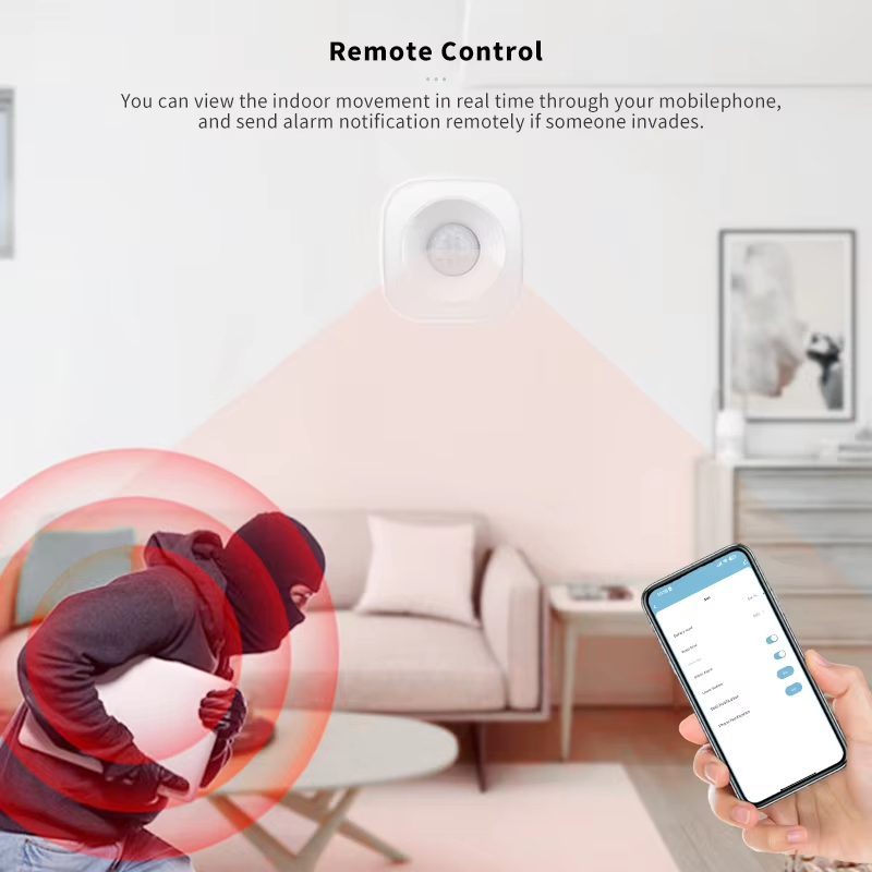 Tuya ZigBee/WiFi PIR Motion Se - Home Security Wireless review and price