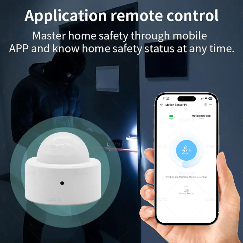 Zigbee Mini PIR Motion Sensor  - Home Security Alexa review and price
